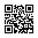 QR CODE 463