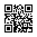 QR CODE 481