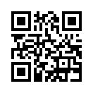 QR CODE 494