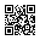 QR CODE 501