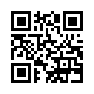 QR CODE 528
