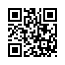 QR CODE 53