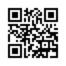 QR CODE 695