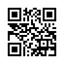 QR CODE 790
