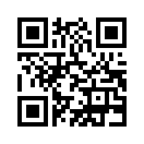 QR CODE 833