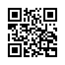 QR CODE 31