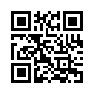 QR CODE 133