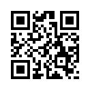 QR CODE 53