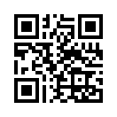 QR CODE 2381
