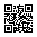 QR CODE 2393