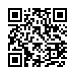 QR CODE 2529