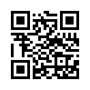 QR CODE 394