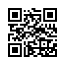 QR CODE 494