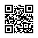QR CODE 501