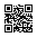 QR CODE 868