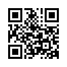 QR CODE 42