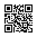 QR CODE 131