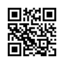 QR CODE 132