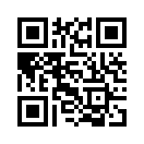 QR CODE 133