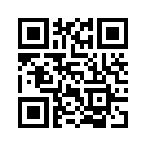 QR CODE 137