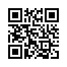 QR CODE 161