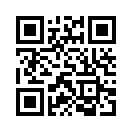 QR CODE 29