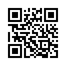QR CODE 33
