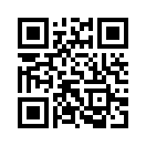 QR CODE 42