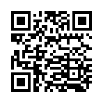 QR CODE 132