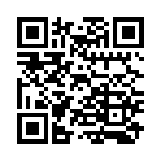 QR CODE 17