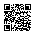 QR CODE 217