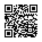 QR CODE 371