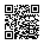 QR CODE 491