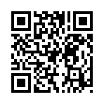 QR CODE 856