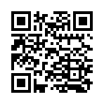 QR CODE 91