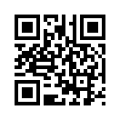QR CODE 133