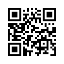 QR CODE 31