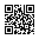 QR CODE 317