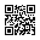 QR CODE 329