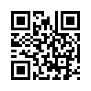 QR CODE 394
