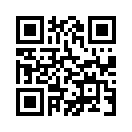QR CODE 494