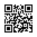 QR CODE 501