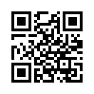 QR CODE 501