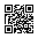 QR CODE 511