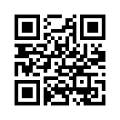 QR CODE 528