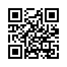 QR CODE 529