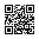 QR CODE 538