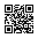 QR CODE 734