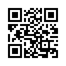 QR CODE 133