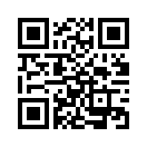 QR CODE 197